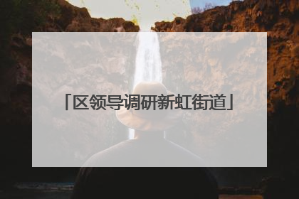 区领导调研新虹街道