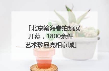 北京翰海春拍预展开幕，1800余件艺术珍品亮相京城