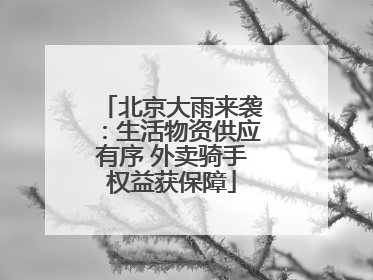 北京大雨来袭：生活物资供应有序 外卖骑手权益获保障