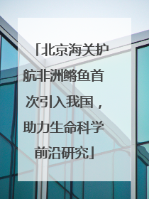 北京海关护航非洲鳉鱼首次引入我国，助力生命科学前沿研究