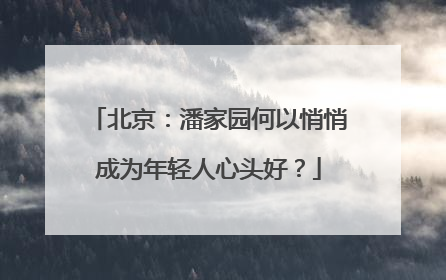北京：潘家园何以悄悄成为年轻人心头好？