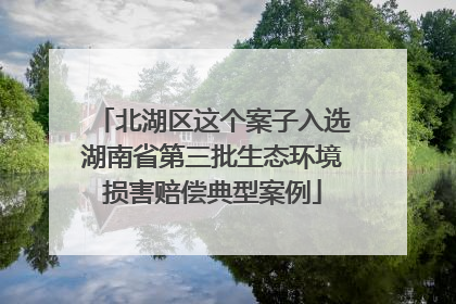 北湖区这个案子入选湖南省第三批生态环境损害赔偿典型案例