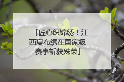 匠心织锦绣！江西夏布绣在国家级赛事斩获殊荣