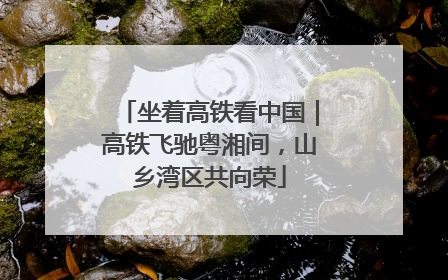 坐着高铁看中国｜高铁飞驰粤湘间，山乡湾区共向荣