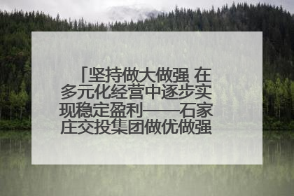 坚持做大做强 在多元化经营中逐步实现稳定盈利——石家庄交投集团做优做强典型报道之三