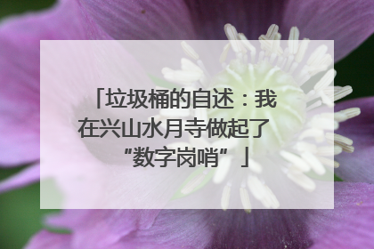 垃圾桶的自述：我在兴山水月寺做起了“数字岗哨”