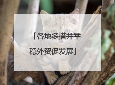 各地多措并举稳外贸促发展