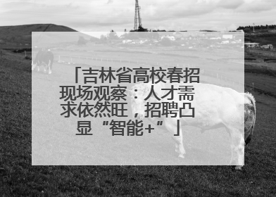 吉林省高校春招现场观察：人才需求依然旺，招聘凸显“智能+”