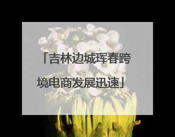 吉林边城珲春跨境电商发展迅速