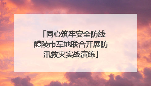 同心筑牢安全防线 醴陵市军地联合开展防汛救灾实战演练