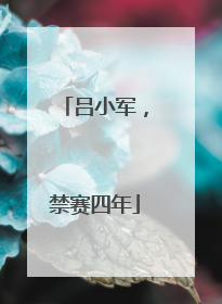吕小军，禁赛四年