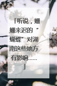 听说，姗姗来迟的“蝴蝶”对湖南这些地方有影响……