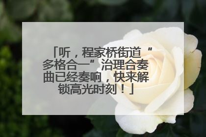 听，程家桥街道“多格合一”治理合奏曲已经奏响，快来解锁高光时刻！