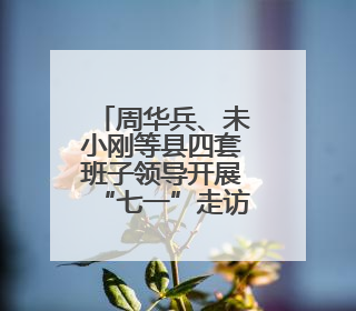 周华兵、未小刚等县四套班子领导开展“七一”走访慰问活动