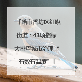 哈市香坊区红旗街道：43项指标大排查城市治理“有数有温度”