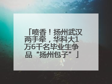 喷香！扬州武汉两手牵，华科大1万6千名毕业生争品“扬州包子”
