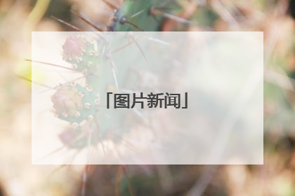 图片新闻
