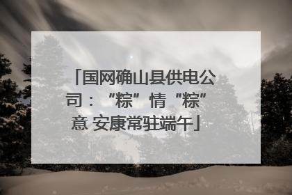 国网确山县供电公司：“粽”情“粽”意 安康常驻端午