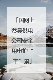 国网上蔡县供电公司安全用电护“丰”景
