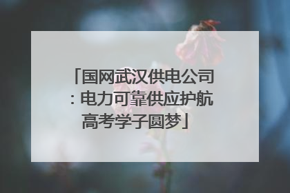 国网武汉供电公司：电力可靠供应护航高考学子圆梦