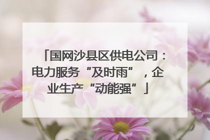 国网沙县区供电公司：电力服务“及时雨”，企业生产“动能强”