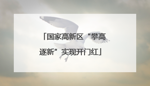 国家高新区“攀高逐新”实现开门红