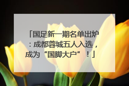 国足新一期名单出炉：成都蓉城五人入选，成为“国脚大户”！