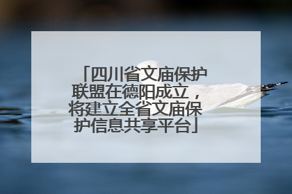 四川省文庙保护联盟在德阳成立，将建立全省文庙保护信息共享平台
