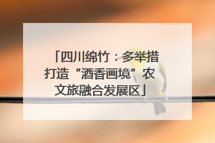 四川绵竹：多举措打造“酒香画境”农文旅融合发展区