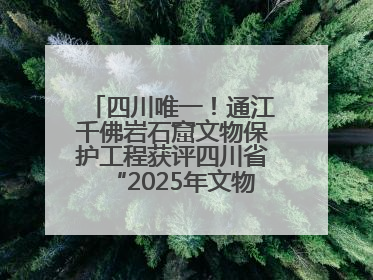 四川唯一！通江千佛岩石窟文物保护工程获评四川省“2025年文物保护优质工程”