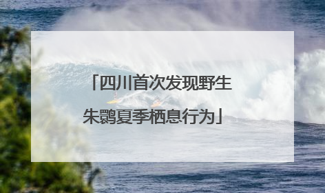 四川首次发现野生朱鹮夏季栖息行为