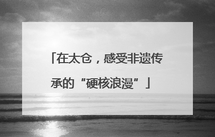 在太仓，感受非遗传承的“硬核浪漫”