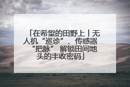 在希望的田野上丨无人机“巡诊”、传感器“把脉” 解锁田间地头的丰收密码