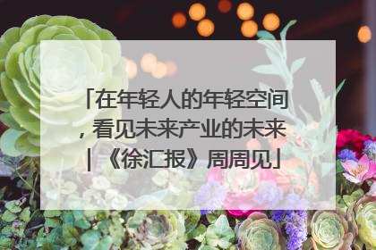 在年轻人的年轻空间，看见未来产业的未来｜《徐汇报》周周见