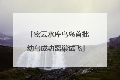 密云水库鸟岛首批幼鸟成功离巢试飞