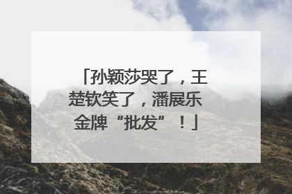 孙颖莎哭了，王楚钦笑了，潘展乐金牌“批发”！
