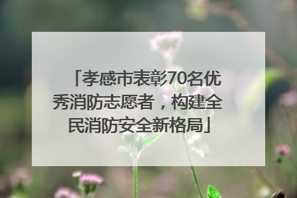 孝感市表彰70名优秀消防志愿者，构建全民消防安全新格局