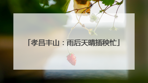 孝昌丰山：雨后天晴插秧忙