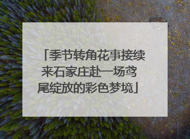 季节转角花事接续 来石家庄赴一场鸢尾绽放的彩色梦境