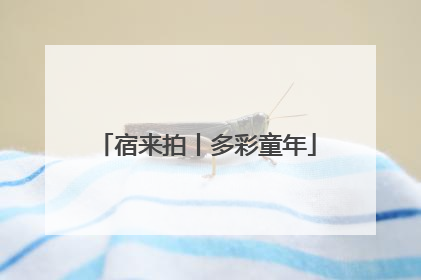 宿来拍丨多彩童年