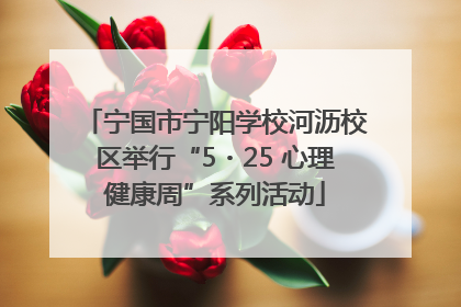 宁国市宁阳学校河沥校区举行“5・25 心理健康周”系列活动