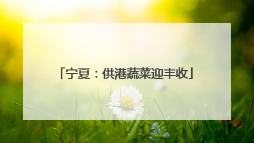 宁夏：供港蔬菜迎丰收
