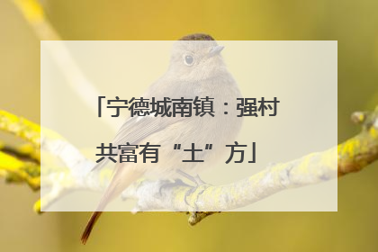宁德城南镇：强村共富有“土”方