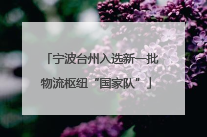 宁波台州入选新一批物流枢纽“国家队”