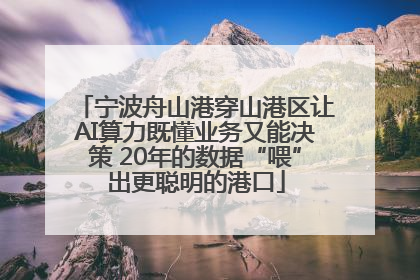 宁波舟山港穿山港区让AI算力既懂业务又能决策 20年的数据“喂”出更聪明的港口
