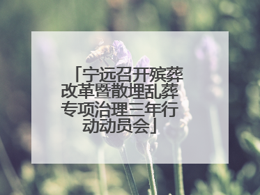 宁远召开殡葬改革暨散埋乱葬专项治理三年行动动员会
