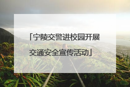 宁陵交警进校园开展交通安全宣传活动