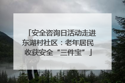 安全咨询日活动走进东湖村社区：老年居民收获安全“三件宝”