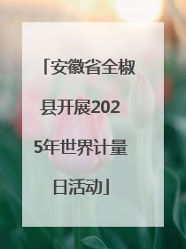 安徽省全椒县开展2025年世界计量日活动
