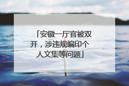 安徽一厅官被双开，涉违规编印个人文集等问题